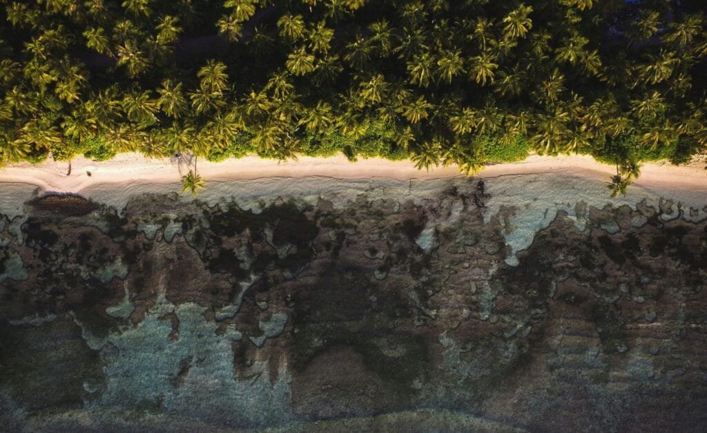 Dhigurah coastline, Maldives – lush palm trees, white sand, and azure waters on a tropical paradise island.