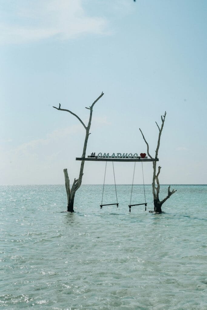 Zwei Schaukeln hängen an kahlen Ästen eines ins Meer ragenden Baums, mit einem Schild darüber, das „#OMADHOO ❤️“ zeigt. Die ruhige, türkisfarbene Lagune und der klare Himmel verleihen der Szene eine paradiesische Atmosphäre.