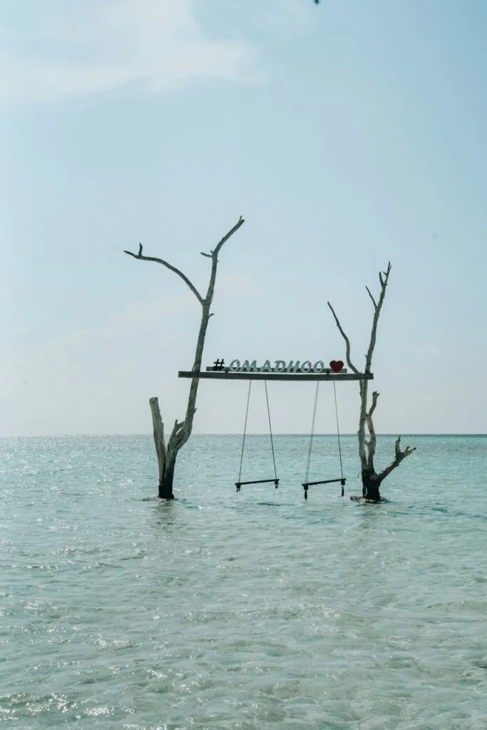Zwei Schaukeln hängen an kahlen Ästen eines ins Meer ragenden Baums, mit einem Schild darüber, das „#OMADHOO ❤️“ zeigt. Die ruhige, türkisfarbene Lagune und der klare Himmel verleihen der Szene eine paradiesische Atmosphäre.
