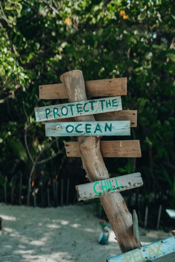 A handmade wooden sign on the beach with the words "Protect the Ocean," "Chill," and "Relax," surrounded by lush tropical vegetation. The sign is made of driftwood, giving it a rustic, eco-friendly look.