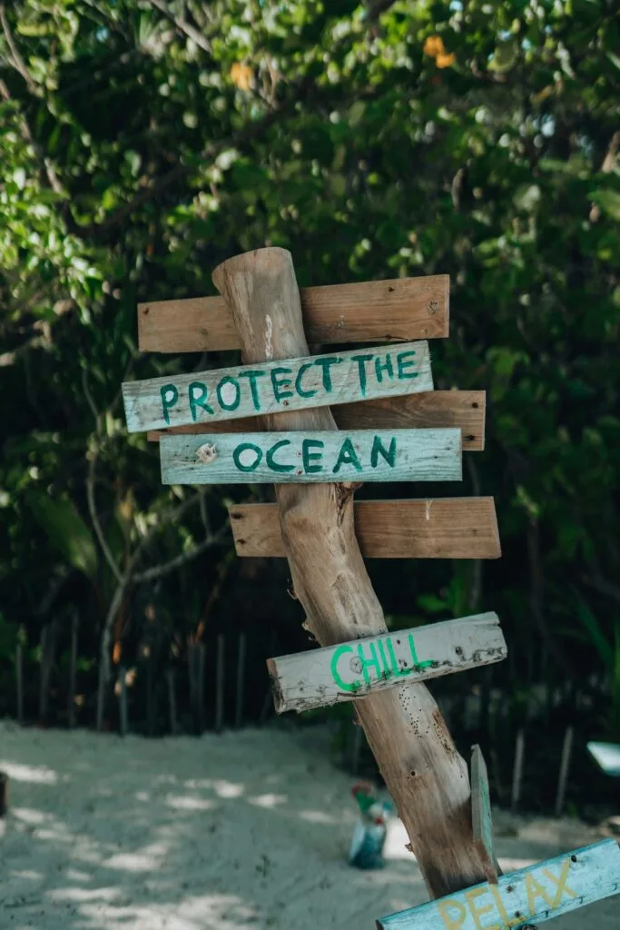 Ein handgefertigtes Holzschild am Strand mit der Aufschrift „Protect the Ocean“, „Chill“ und „Relax“, umgeben von tropischer Vegetation. Das Schild besteht aus Treibholz und hat eine rustikale, umweltfreundliche Optik.