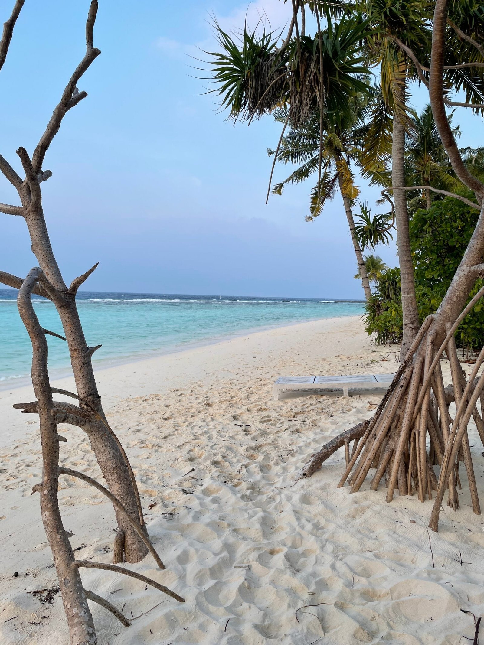 A serene Maldives beach on Omadhoo, featuring swaying palm trees and soft white sand under a clear blue sky.