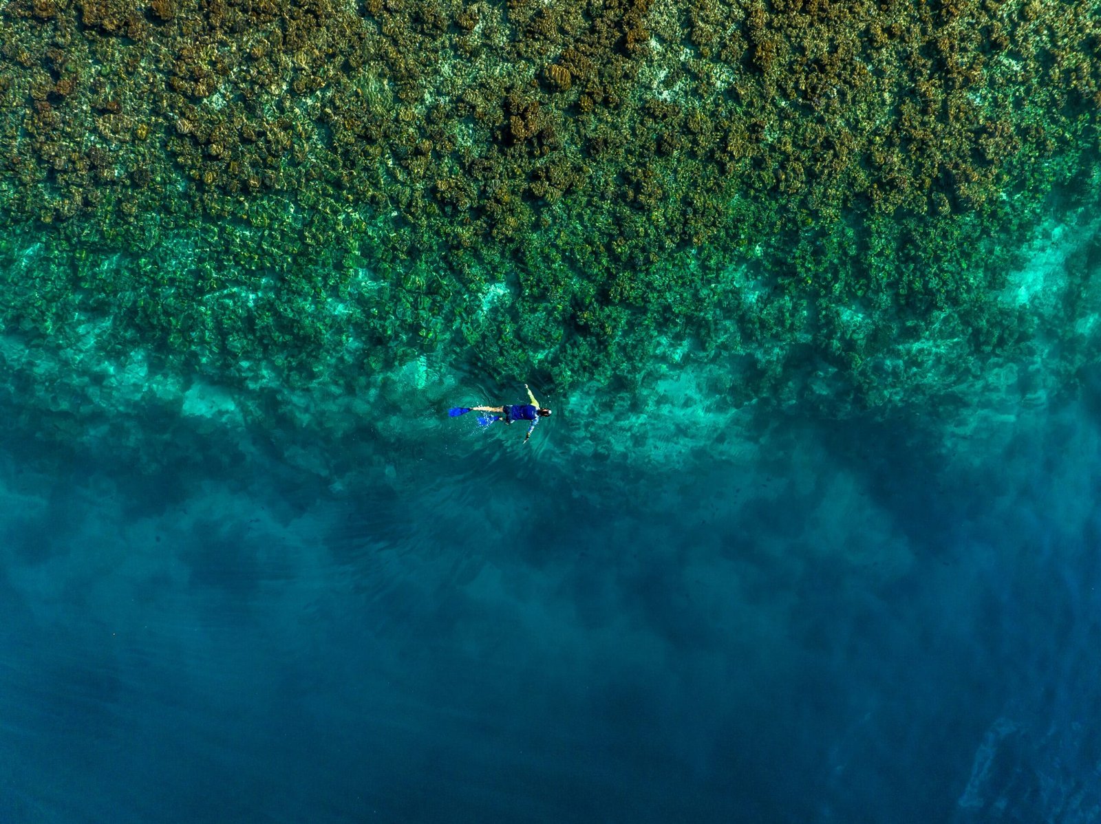 A snorkeler wearing blue fins and a wetsuit floats in the clear turquoise water near a coral reef. The aerial view captures the vibrant underwater landscape, where the shallow reef transitions into the deep ocean.