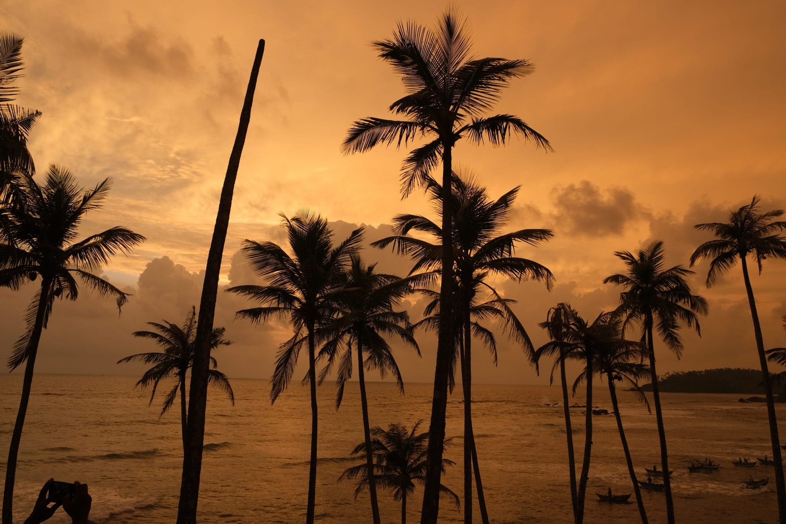 Sonnenuntergang in Sri Lanka beim Coconut Tree Hill